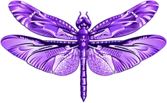 Dragonfly Family Counseling